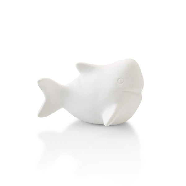 Mini Shark
