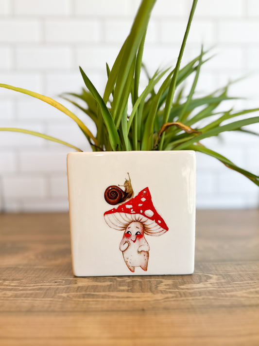 Mushroom Creep Square Vase | B