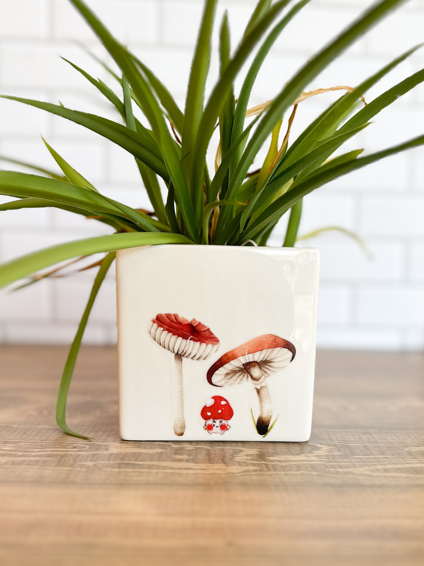 Mushroom Creep Square Vase | E