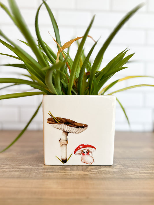 Mushroom Creep Square Vase | F