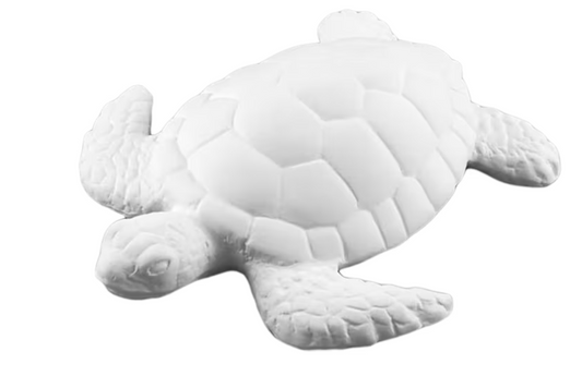 Sea Turtle