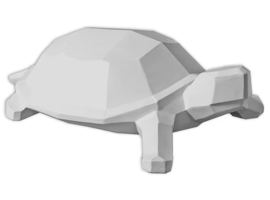 Garden Turtle | Facet