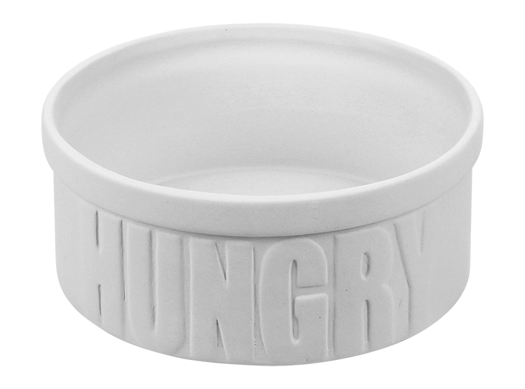 Hungry Pet Bowl