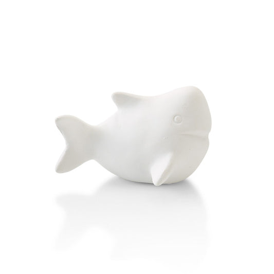 Mini Shark